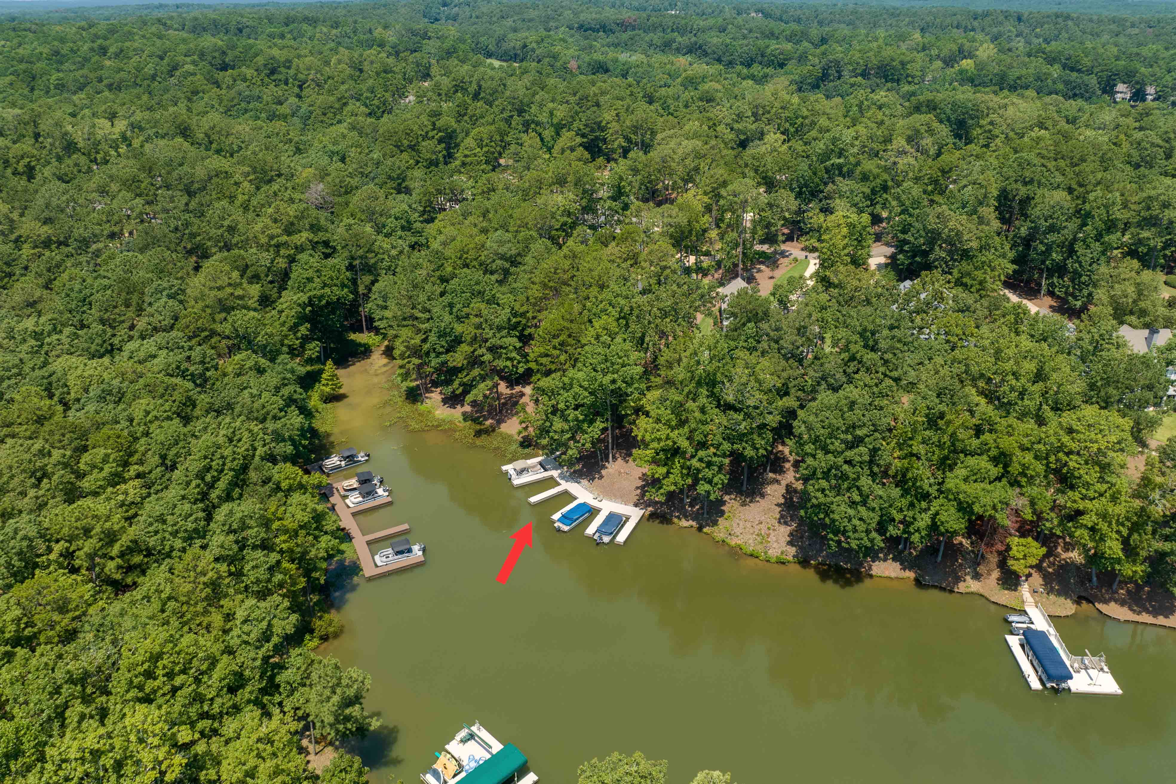 1121 Curtright Place image 54